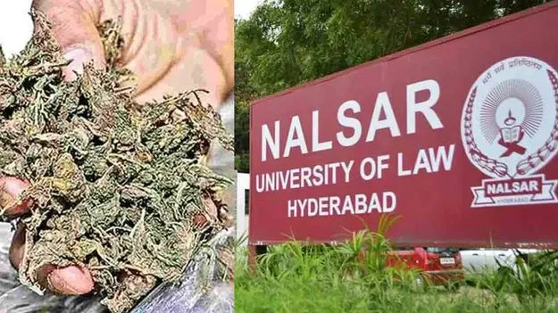 ‘నల్సార్‌’లో గంజాయి కలకలం 