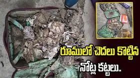 కాలేజీ రూమ్‌లో నోట్ల కట్టలు.. చెదలు పట్టిన స్థితిలో..
