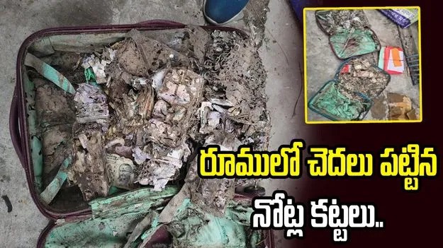 కాలేజీ రూమ్‌లో నోట్ల కట్టలు.. చెదలు పట్టిన స్థితిలో..