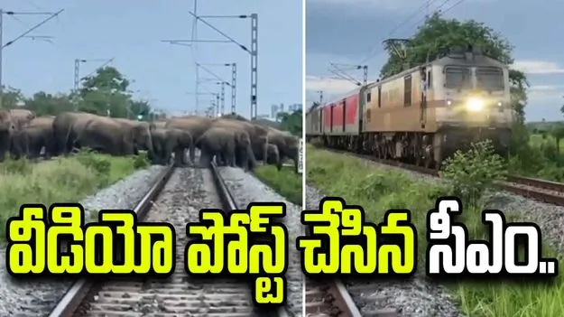 రైల్వే ట్రాక్‌పై ఏనుగులు.. దూసుకొచ్చిన రైలు.. వీడియో పోస్ట్ చేసిన సీఎం