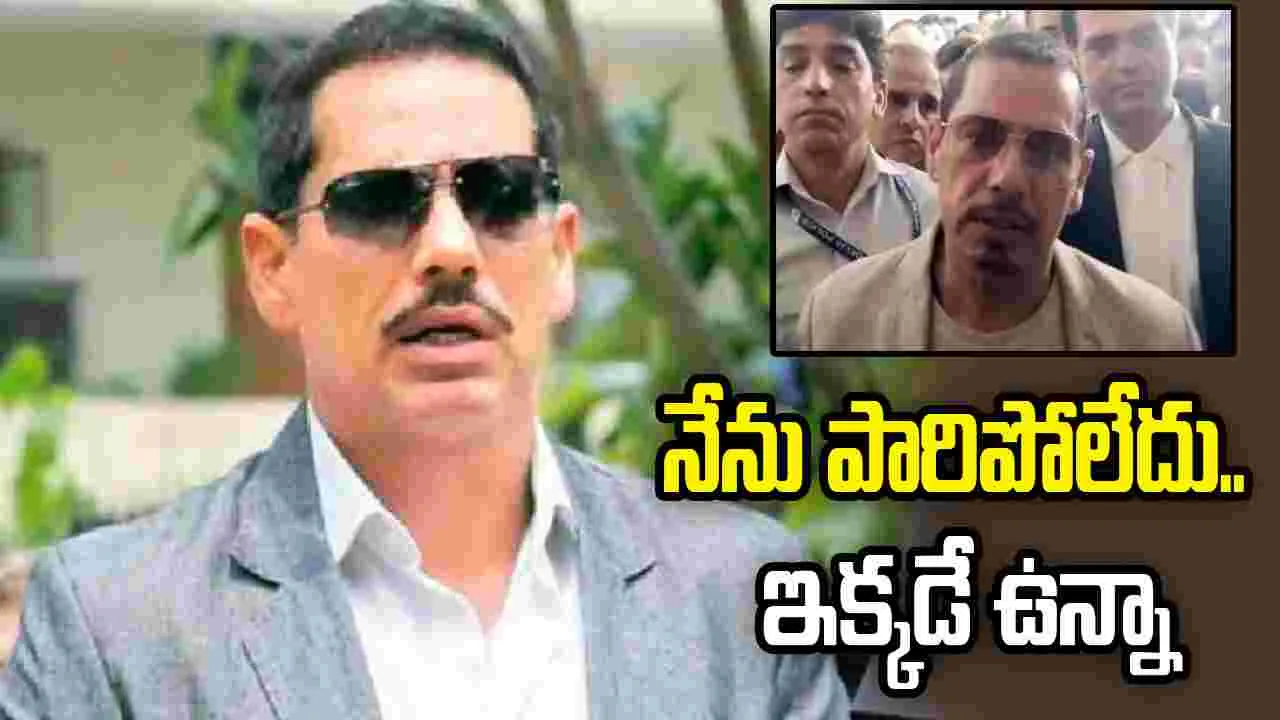 రాబర్ట్ వాద్రాకు ఊరట.. మనీలాండరింగ్ కేసులో ఢిల్లీ కోర్టు బెయిల్