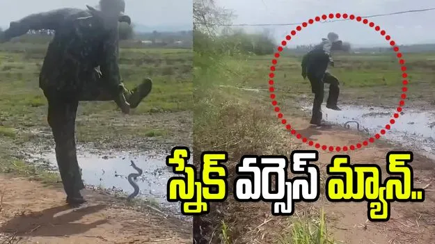 స్నేక్ వర్సెస్ మ్యాన్.. ఇలాంటి ఫైట్ ఎప్పుడూ చూసిండరు..!