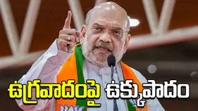 చొరబాటుదారులను ఏరివేస్తాం: అమిత్ షా