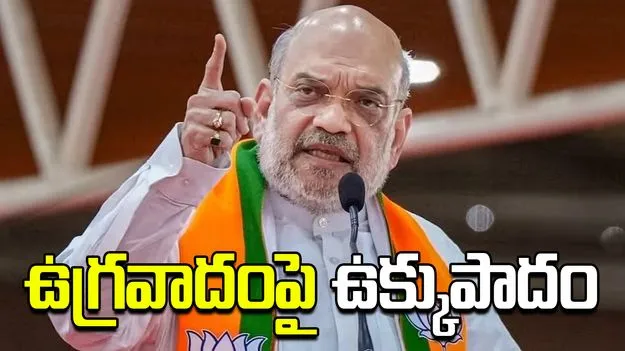చొరబాటుదారులను ఏరివేస్తాం: అమిత్ షా