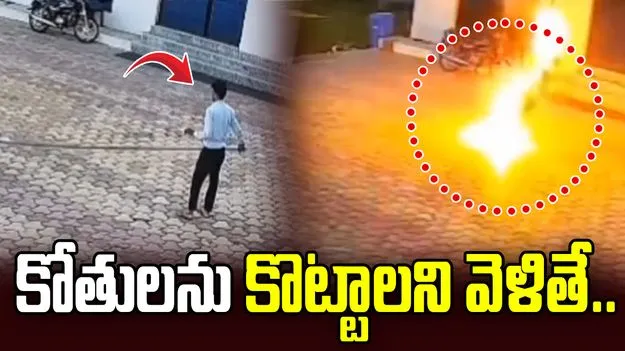 కోతులను భయపెట్టాలనుకుంటే ప్రాణమే పోయింది..