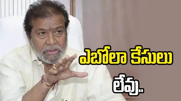 ఆఫ్రికా నుంచి వచ్చే ప్రయాణికులపై ప్రత్యేక నిఘా: దామోదర రాజనర్సింహ