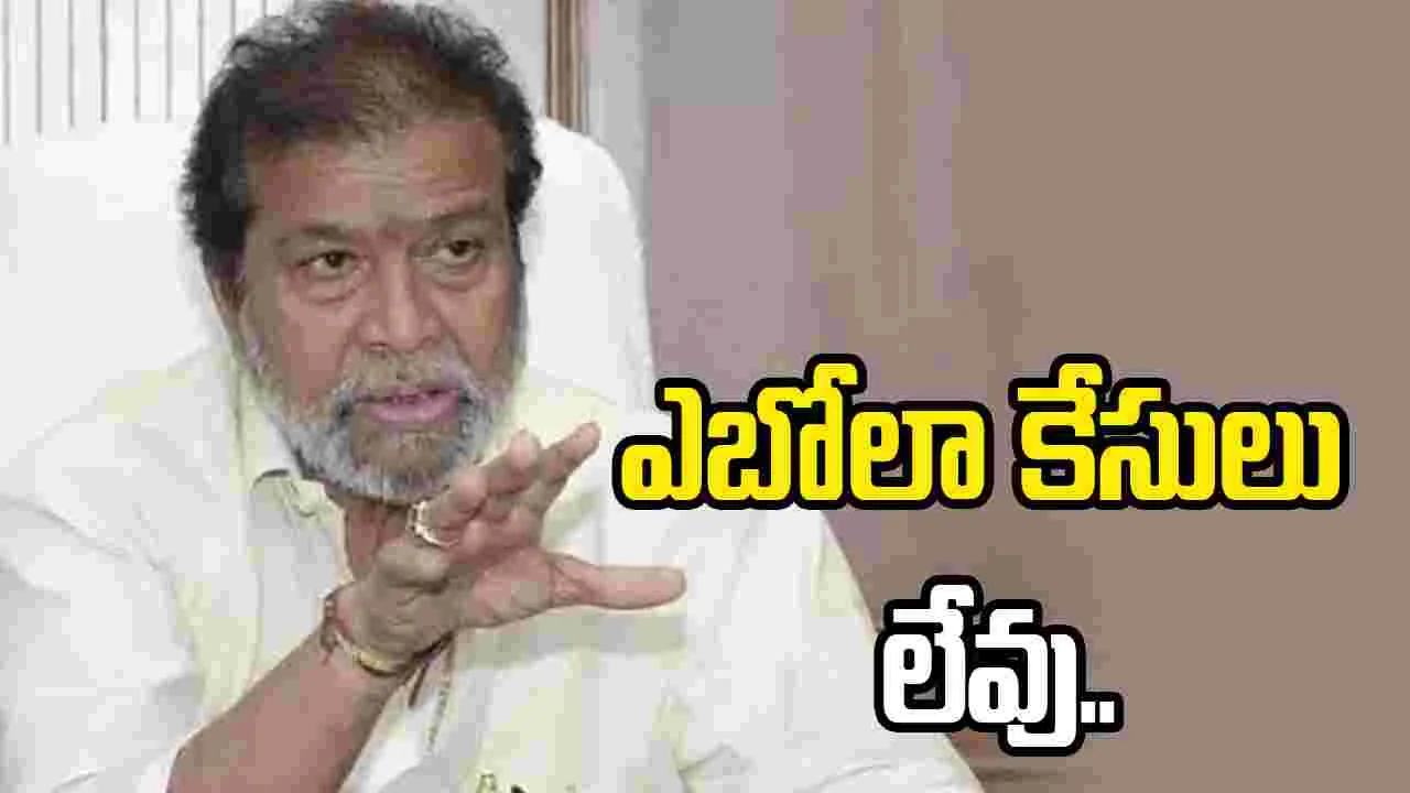ఆఫ్రికా నుంచి వచ్చే ప్రయాణికులపై ప్రత్యేక నిఘా: దామోదర రాజనర్సింహ