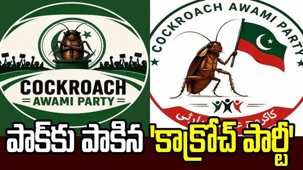 భారత్ నుంచి పాక్‌కు పాకిన 'కాక్రోచ్ పార్టీ' వైరల్ రాజకీయం!