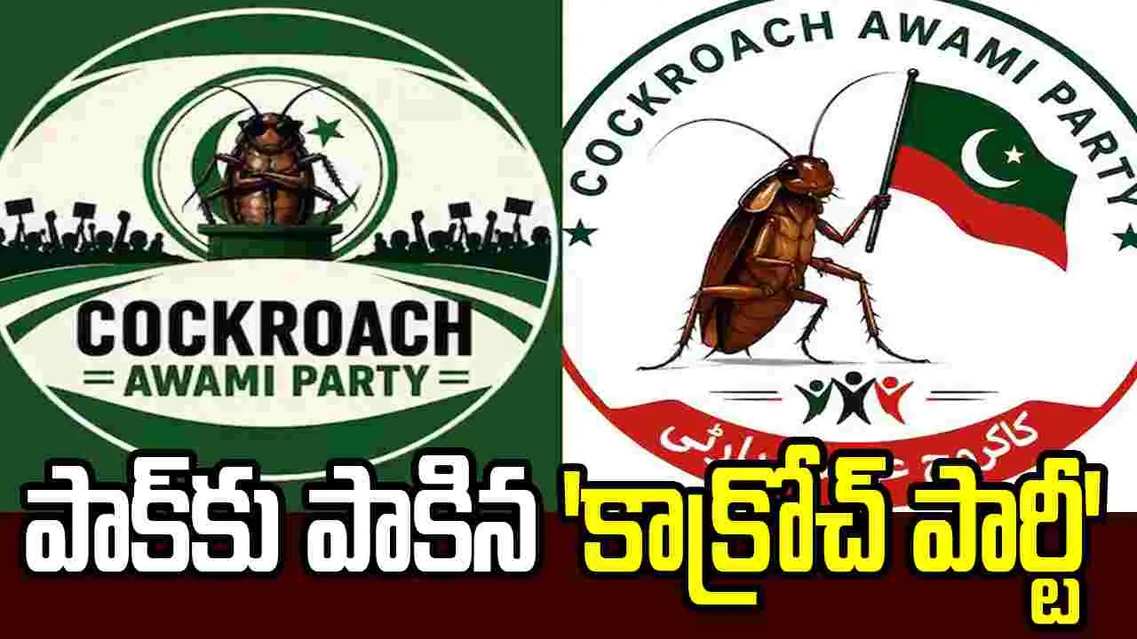 భారత్ నుంచి పాక్‌కు పాకిన 'కాక్రోచ్ పార్టీ' వైరల్ రాజకీయం!