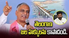 తెలంగాణ జల హక్కులను కాపాడటంలో సర్కార్ విఫలం: హరీశ్ రావు