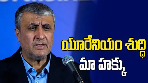 యూఎస్‌తో చర్చలు.. ఇరాన్ అణు ఇంధన సంస్థ చీఫ్ కీలక వ్యాఖ్య