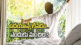 ఉదయాన్నే నిద్రలేస్తే ఆరోగ్యానికి ఎన్నో లాభాలు