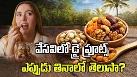 వేసవిలో డ్రై ఫ్రూట్స్‌ను ఎప్పుడు తినాలో తెలుసా?