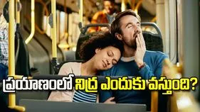 ప్రయాణంలో నిద్రమత్తుకు అసలు కారణాలేంటి?
