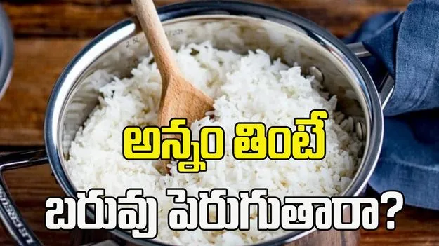 అన్నం తింటే బరువు పెరుగుతారా?