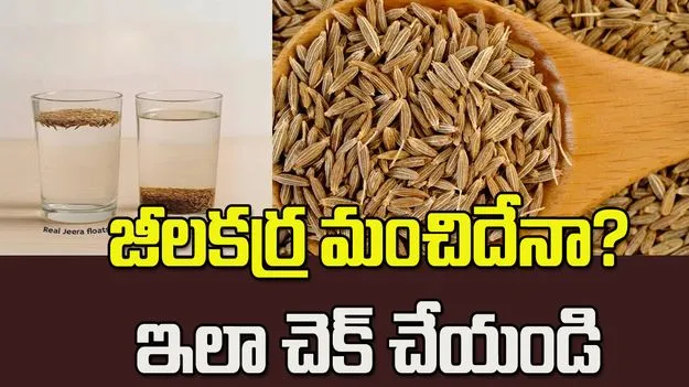జీలకర్ర మంచిదో కాదో.. ఇలా సింపుల్‌గా తెలుసుకోండి