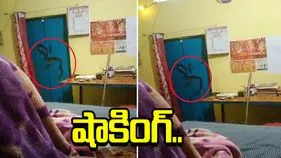 షాకింగ్ వీడియో.. రాత్రంతా తలుపు హ్యాండిల్‌పై కింగ్ కోబ్రా.. ఇంట్లోనే బందీలైన కుటుంబం..