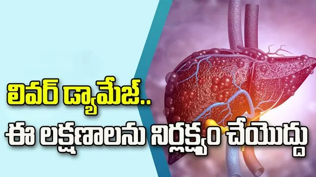 లివర్ డ్యామేజ్‌.. ఈ 5 లక్షణాలను అస్సలు నిర్లక్ష్యం చేయొద్దు