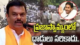 ఆ విషయంలో జగన్‌ను వైసీపీ నేతలు నిలదీయాలి: పీవీఎన్ మాధవ్