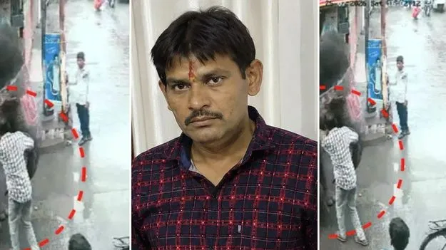 ఆహారం పెట్టబోతే ప్రాణం తీసిన ఏనుగు.. 