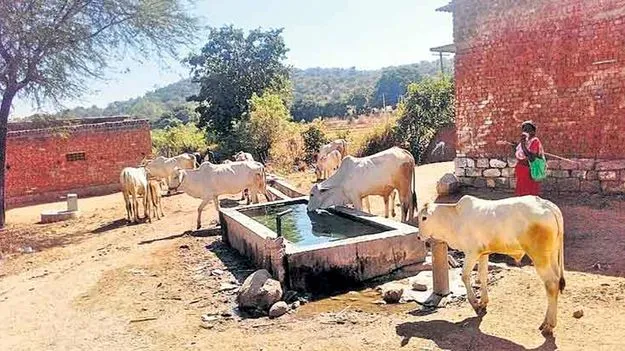 పశువుల దాహార్తి తీర్చేలా నీటి తొట్టెలు