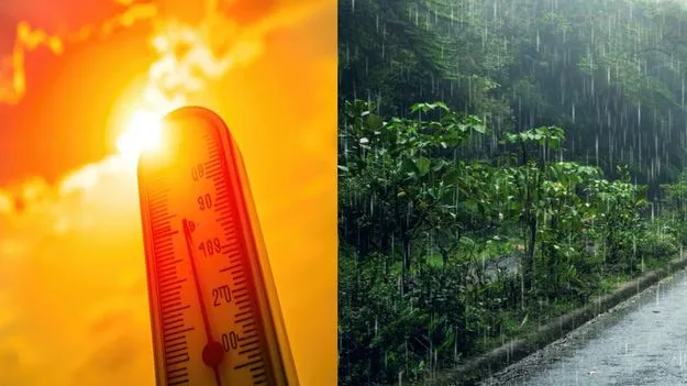 నేడు సీమలో ఎండమంటలు