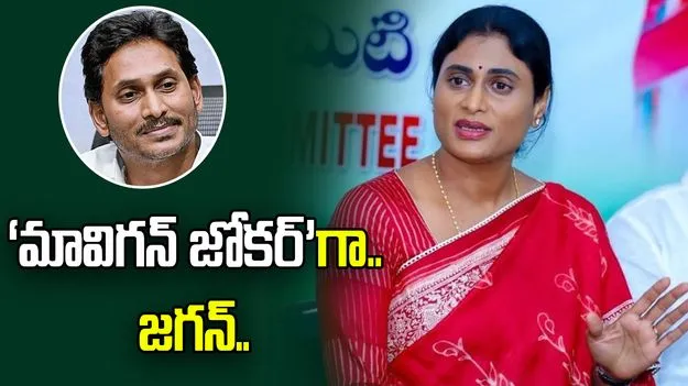 ‘మావిగన్ జోకర్’‌గా జగన్ మిగిలారు.. షర్మిల సెటైర్లు