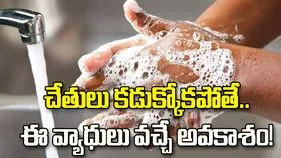 జాగ్రత్త.. చేతులు కడుక్కోకపోతే ఎన్ని వ్యాధులు వస్తాయో తెలుసా?