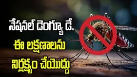 నేషనల్ డెంగ్యూ డే 2026.. ఈ 5 లక్షణాలను అసలు నిర్లక్ష్యం చేయొద్దు