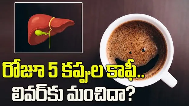 రోజూ 5 కప్పుల కాఫీ.. లివర్‌కు మంచిదా?
