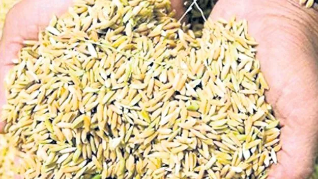 ఆ విత్తనాలను అరికట్టేదెలా?
