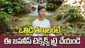 మనసుకు ప్రశాంతత కావాలా? ఈ జపనీస్ టెక్నిక్స్‌ ట్రై చేయండి