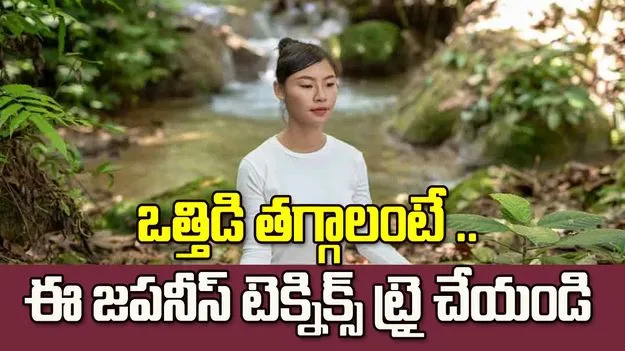 మనసుకు ప్రశాంతత కావాలా? ఈ జపనీస్ టెక్నిక్స్‌ ట్రై చేయండి