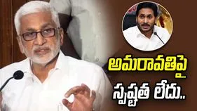 మీకు చీమ కుట్టినట్లు కూడా అనిపించలేదా? వైసీపీ ఎంపీలపై విజయసాయి ఫైర్