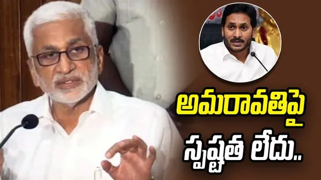 మీకు చీమ కుట్టినట్లు కూడా అనిపించలేదా? వైసీపీ ఎంపీలపై విజయసాయి ఫైర్