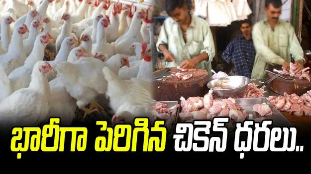 భగ్గుమంటున్న చికెన్ ధరలు.. వెలవెలబోతున్న షాపులు