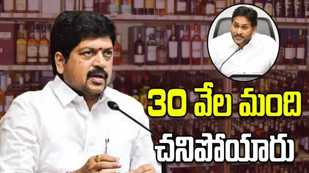 వైసీపీ పాలనలో 30 వేల మంది చనిపోయారు: మంత్రి కొల్లు రవీంద్ర