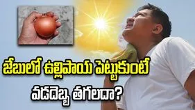 జేబులో ఉల్లిపాయ పెట్టుకుంటే వడదెబ్బ తగలదా? ఇందులో నిజమెంత?