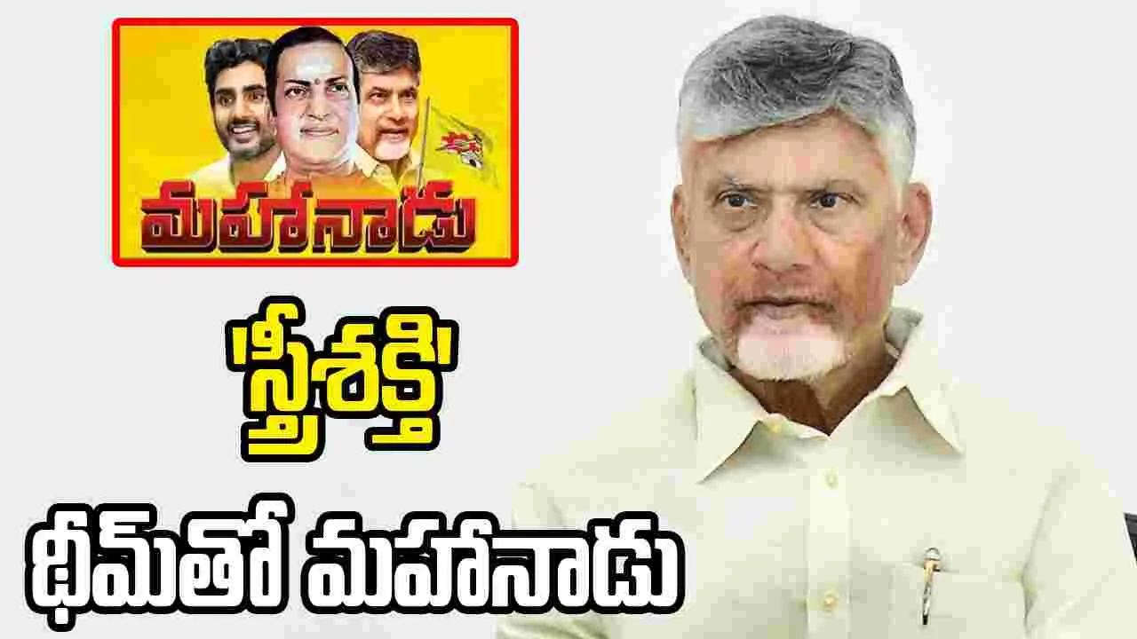 స్త్రీశక్తి థీమ్‌తో మహానాడు: సీఎం చంద్రబాబు
