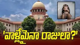 నాలుగేళ్ల చిన్నారితో ఇలాగేనా ప్రవర్తించేంది.. పోలీసులకు సుప్రీం చురకలు