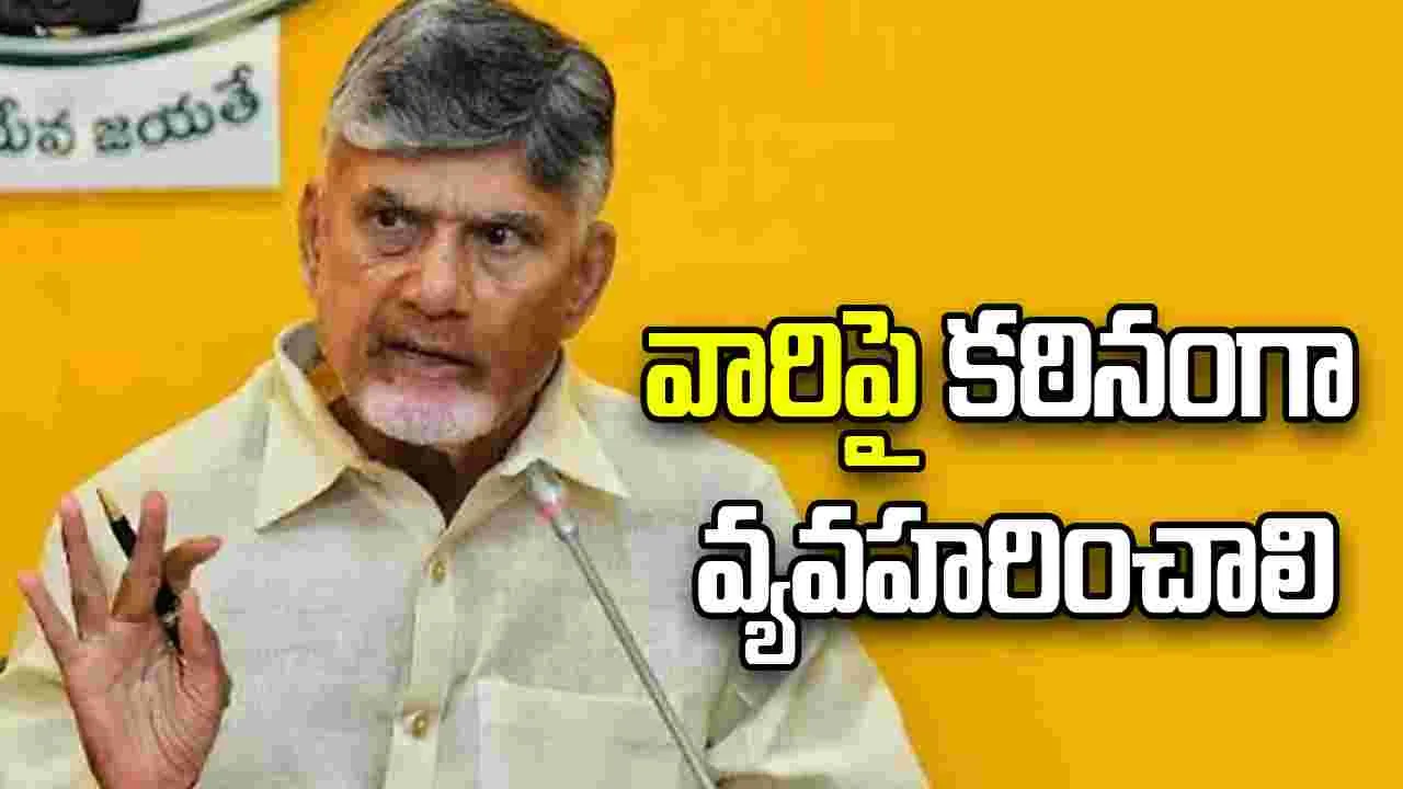 చట్టాన్ని చేతుల్లోకి తీసుకునే వారిపై కఠినంగా వ్యవహరించాలి: సీఎం చంద్రబాబు