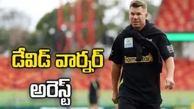 ఆస్ట్రేలియా స్టార్ క్రికెటర్ డేవిడ్ వార్నర్ అరెస్ట్