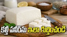 కల్తీ పనీర్‌ను ఇలా గుర్తించండి