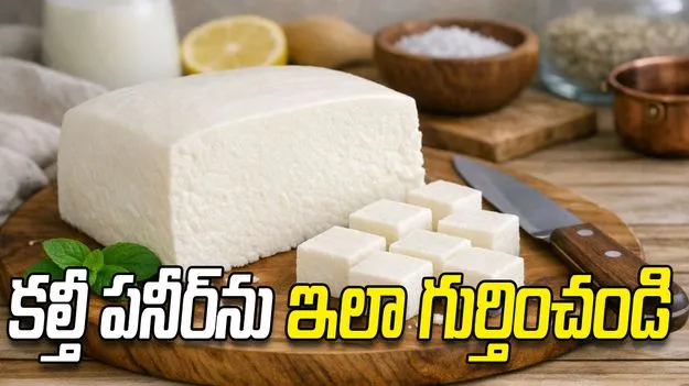 కల్తీ పనీర్‌ను ఇలా గుర్తించండి