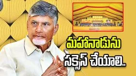 హైబ్రిడ్ విధానంలో మహానాడును సక్సెస్‌ చేయాలి: సీఎం చంద్రబాబు