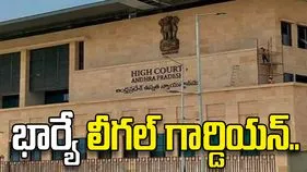 కోమాలో ఉన్న భర్తకు భార్యే చట్టబద్ధమైన సంరక్షకురాలు.. స్పష్టం చేసిన హైకోర్టు