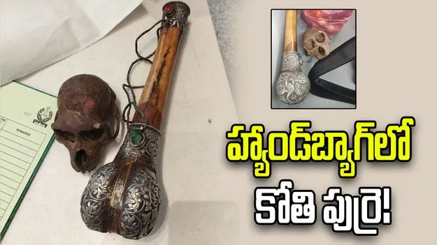 ఢిల్లీ ఎయిర్‌పోర్ట్‌లో కలకలం.. ప్రయాణికుడి హ్యాండ్‌బ్యాగ్‌లో కోతి పుర్రె!
