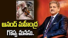 80 ఏళ్ల వయసులో కళాకారుడి కష్టాలు.. వీడియో చూసి చలించిపోయిన ఆనంద్ మహీంద్ర..