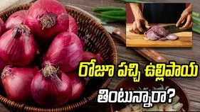రోజూ పచ్చి ఉల్లిపాయ తింటున్నారా? అయితే ఈ వ్యక్తులు జాగ్రత్త!