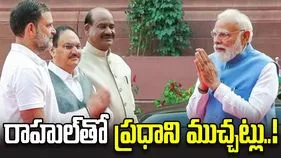 పార్లమెంటు ప్రాంగణంలో రాహుల్‌తో ముచ్చటించిన మోదీ